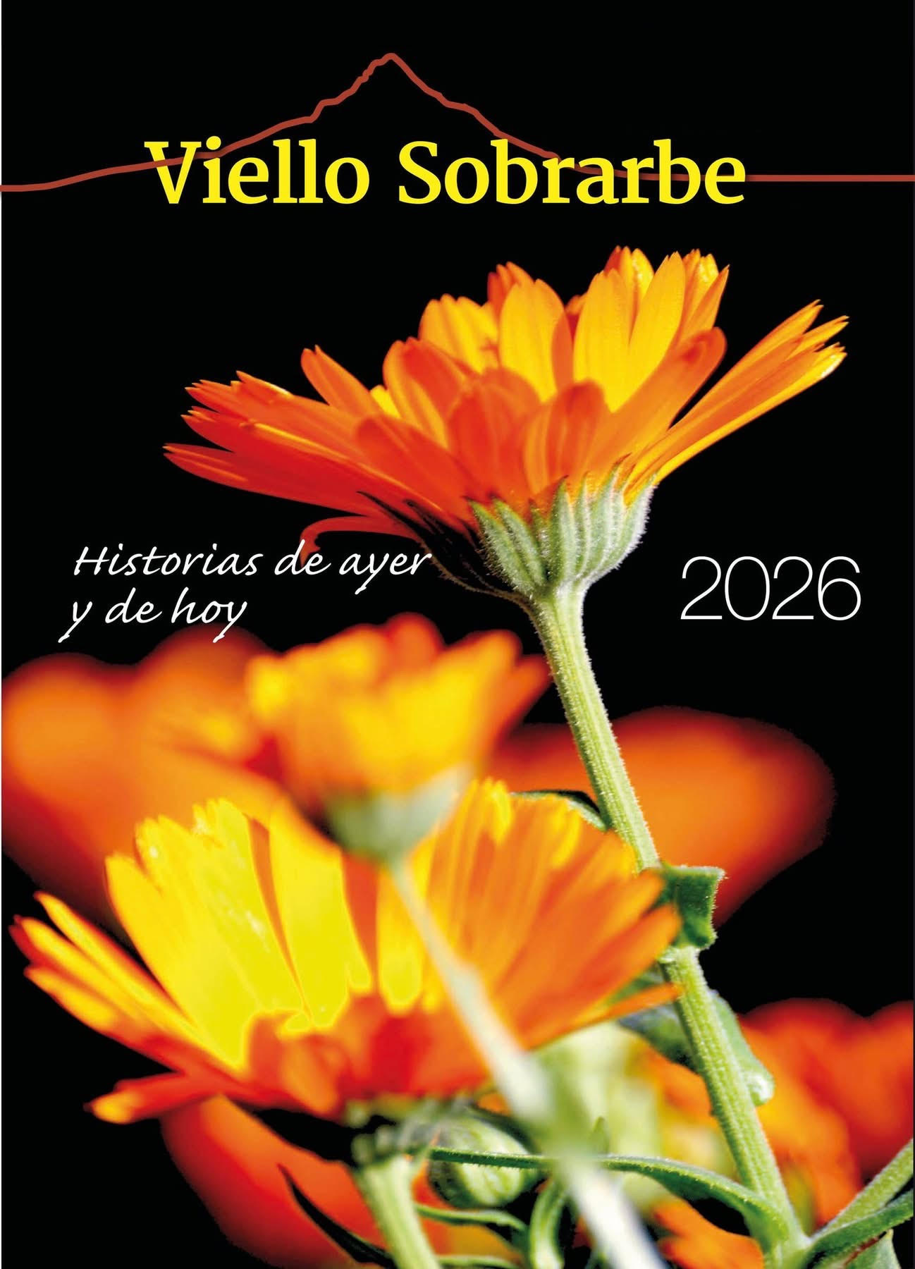 Revista Viello Sobrarbe